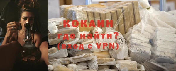 стаф Зерноград
