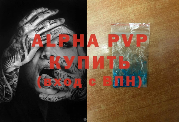 стаф Зерноград