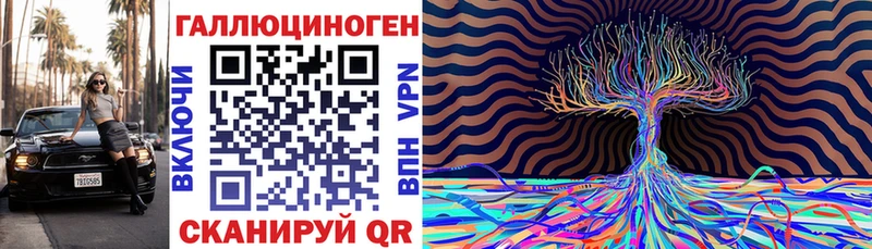 Псилоцибиновые грибы Psilocybine cubensis  как найти закладки  Мураши 